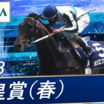 【競馬】98年天皇賞（春）現地　最終レース終了後のスタンドの様子が凄まじい