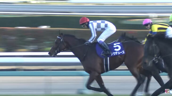 【競馬】ドウデュースって主人公属性持ってるよね