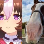 【ウマ娘】実馬メイショウドトウはアイルランドだけどウマ娘だとどうなの？ちなみにアイルランドには… ⇐ ためになったｗｗｗ