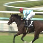 【競馬】メロディーレーンが2024年も現役続行！