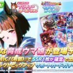 【ウマ娘】セレクトピックアップが欲しいの詰め合わせみたいでヤバいんだが