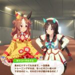 【ウマ娘】リッキーシナリオのタルマエの風水批判って