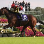 【競馬】ドゥレッツァ骨折　リバティアイランドは軽度の右前種子骨靱帯炎を発症