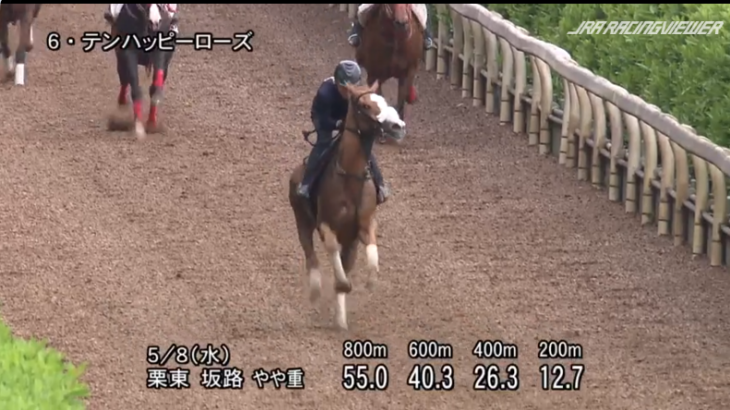 【競馬】テンハッピーローズの追い切りがヤバい！これ見ないほうが買えてそう