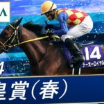 【競馬】テーオーロイヤルが左前剥離骨折　歩様にも分からないほどの軽度