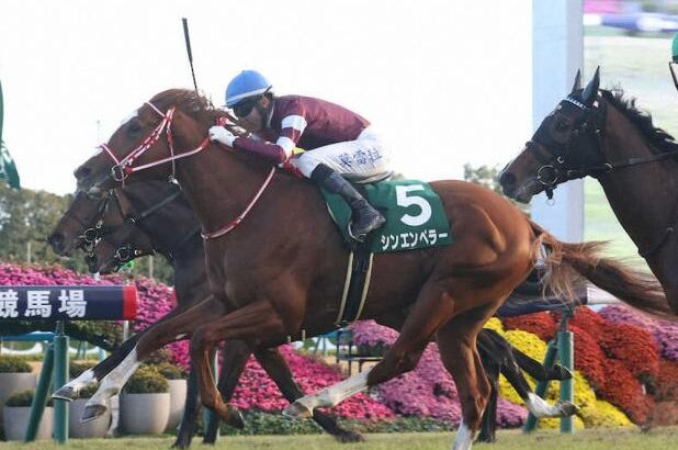 【競馬】シンエンペラーが凱旋門賞の前売りオッズで1番人気タイに！