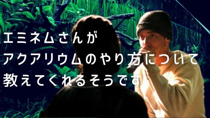 【ウマ娘】ポッケシナリオで『クロフネ』と『エアエミネム』っぽいのが！