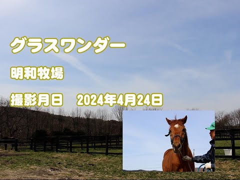 【競馬】グラスワンダーの近況動画が公開！元気そうだ