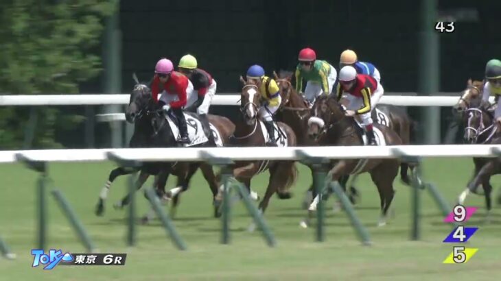 【競馬】サトノ家期待の新人『サトノカルナバル』がデビュー戦を7馬身差で勝利！　父キタサンブラック