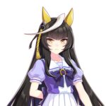 【ウマ娘】カルストンライトオの流星すごいな