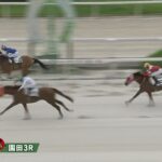 【競馬】園田コラボのレースで『ウマピョイ』が勝利！前日には藤田社長の『レッドマジック』も勝利！