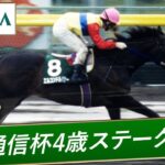 【競馬】芝のレースがダートに変更されることなんてあるんだ