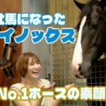 【小ネタ・画像】新潟競馬場へ行くフラワートレーナー　これは不審者　他ウマ娘小ネタまとめ