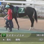 【競馬】クワイトファイン産駒『テイオーノユメ』のデビュー戦は12着