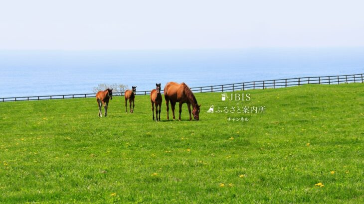 【競馬】7月8日、9日にセレクトセール2024が開催！