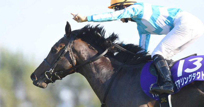 【競馬】デアリングタクトがベンバトルの子を受胎！