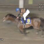 【競馬】キタサンミカヅキがヴェルサイユリゾートファームへ入厩！　父キングヘイロー