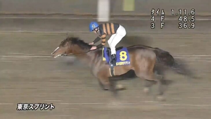 【競馬】キタサンミカヅキがヴェルサイユリゾートファームへ入厩！　父キングヘイロー