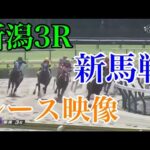 【競馬】藤田社長のシンシリーズが強い！『シンビリーブ』『シンフォーエバー』がデビュー勝ち！