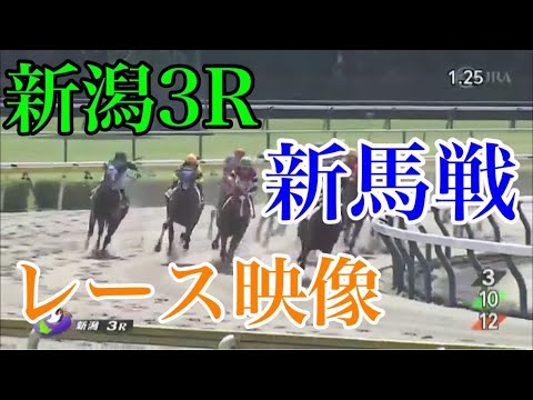 【競馬】藤田社長のシンシリーズが強い！『シンビリーブ』『シンフォーエバー』がデビュー勝ち！