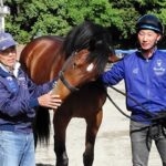 【競馬】アーモンドアイの初仔『アロンズロッド』、デビュー延期か