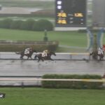 【競馬】台風の中、ハリーケーンが勝利する