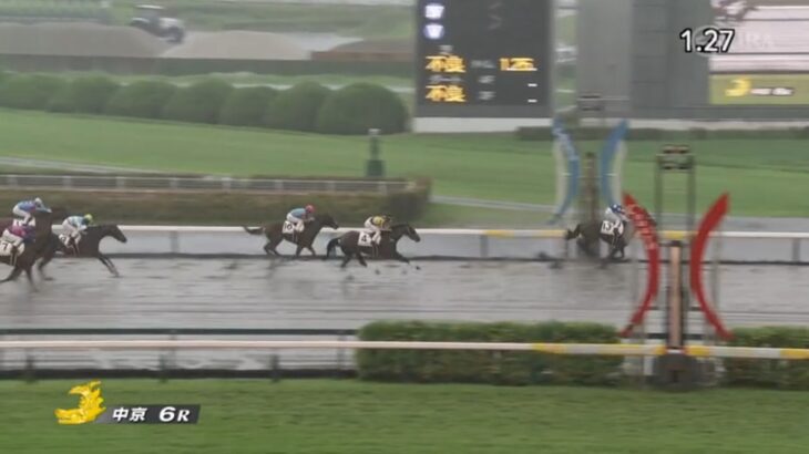 【競馬】台風の中、ハリーケーンが勝利する