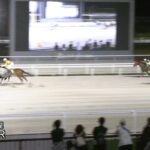 【名古屋競馬】安城特別 ハッピーミークがジェンティルドンナ弟『イストロス』との激戦を制す！