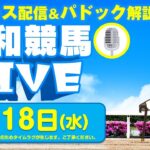 【浦和競馬】『キミトユメヲカケル』が20戦目で初勝利！