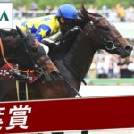 【競馬】シュガークンが左前浅屈腱炎　父ドゥラメンテ、半兄キタサンブラック