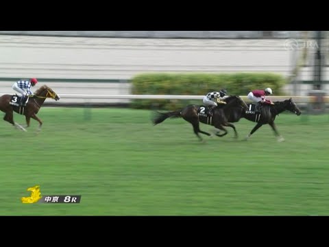 【競馬】藤田社長のエリキングが野路菊Sを制しデビュー2連勝！