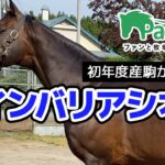 【競馬】ウインバリアシオンも芦毛好きだったんだ