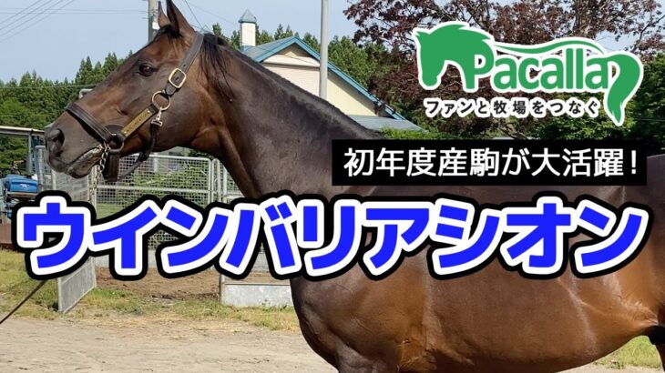 【競馬】ウインバリアシオンも芦毛好きだったんだ