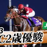 【競馬】北海道の『日胆サドラー』にフォーエバーヤングのJBC2歳優駿優勝レイなどが展示されている模様