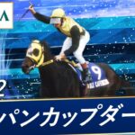 【競馬】ルメールってなんであんなに勝てるんだ？