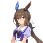 【ウマ娘】野生のアヤベさん