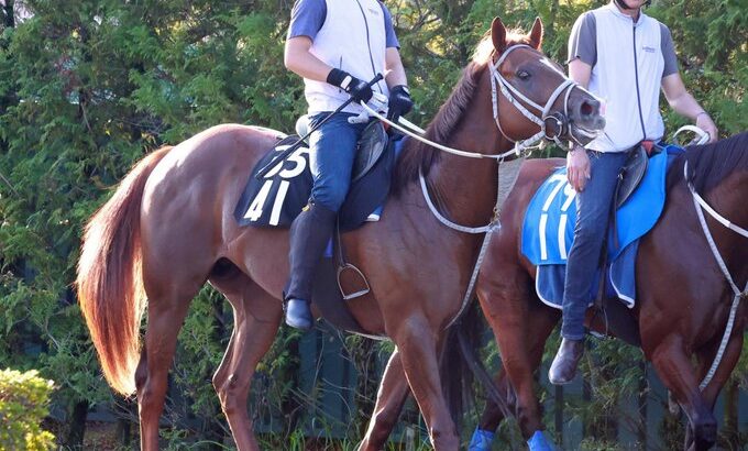 【競馬】ナダル産駒のフェデラー