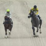 【競馬】大井競馬で2頭立てのレース！5頭立てが2頭出走取消、1頭競走除外