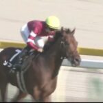 【競馬】藤田社長の『ソンシ』が白秋Sを制しオープン入り！