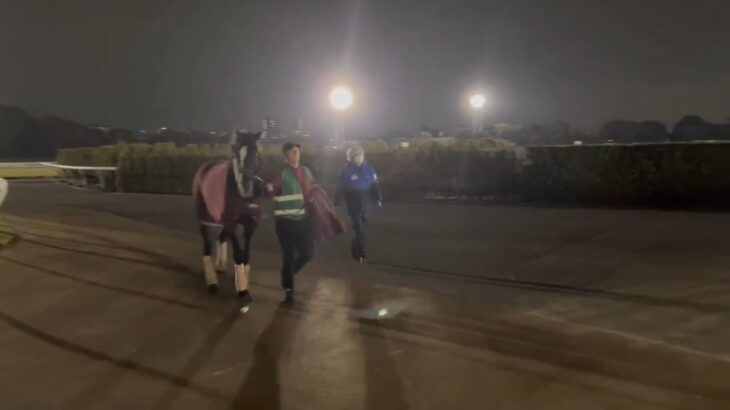 【競馬】オーギュストロダンが東京競馬場に到着！ついに日本へやってきた！