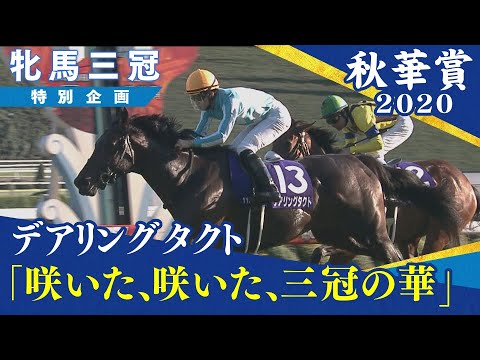 【競馬】デアリングタクトの全盛期のレース見た事ないんだよなぁ