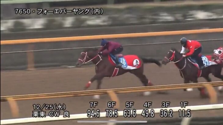 【競馬】フォーエバーヤングの追い切りがエグすぎると話題に