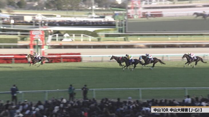 【競馬】ニシノデイジーが引退！今後は種牡馬に【ウマ娘民の反応】