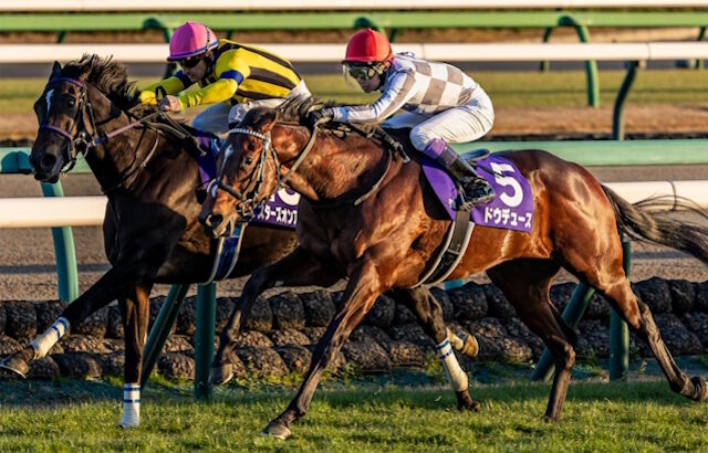 【競馬】先週のJRA抹消馬、こう列挙されると喪失感すごい…