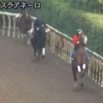 【競馬】追い切りでロデオするお馬さん　そのまま空に飛び立ちそう