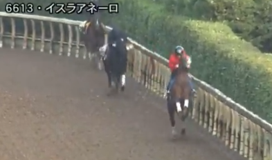 【競馬】追い切りでロデオするお馬さん　そのまま空に飛び立ちそう