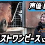 【競馬】Lynnさん、ブラストワンピースに会う