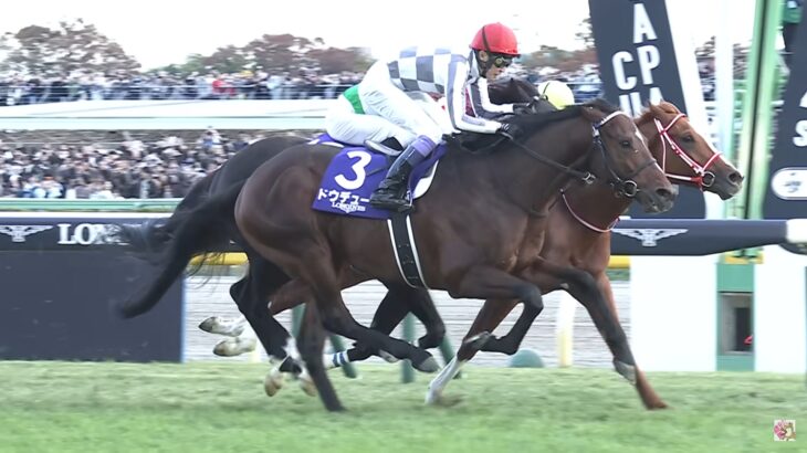 【競馬】2024年度のJRA賞が発表！年度代表馬にドウデュース！フォーエバーヤングは特別賞！