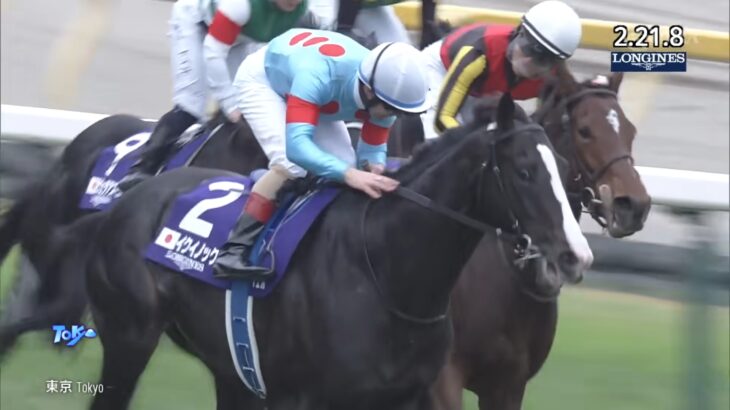 【競馬】イクイノックス産駒が続々誕生！流星受け継いでるな！