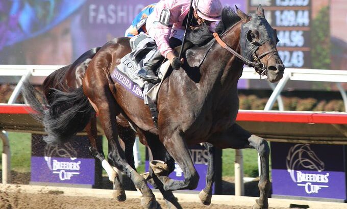 【競馬】BCクラシック覇者シエラレオーネが中東遠征回避！ホワイトアバリオも！　フォーエバーヤングに追い風！